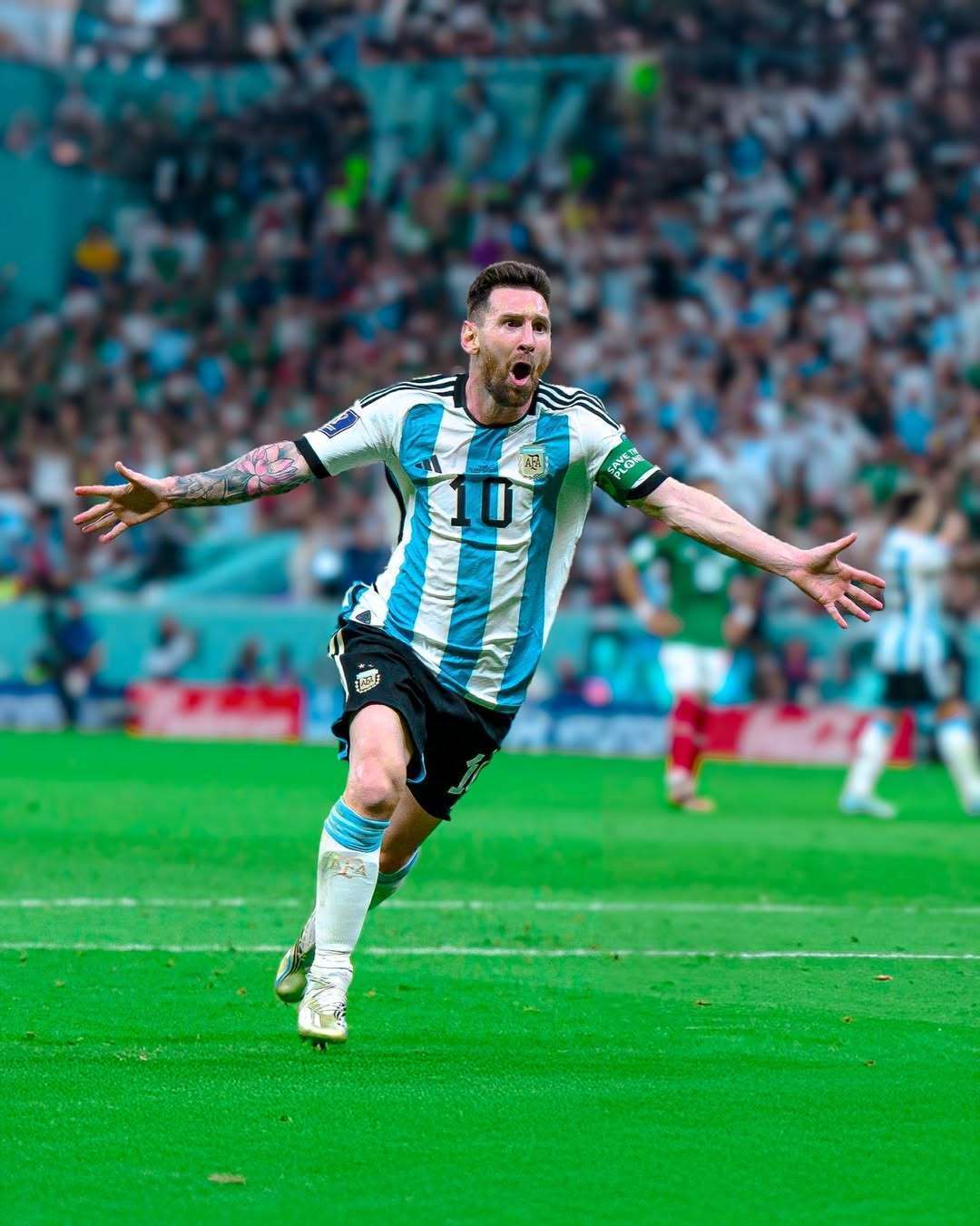 保持稳定 保持稳定